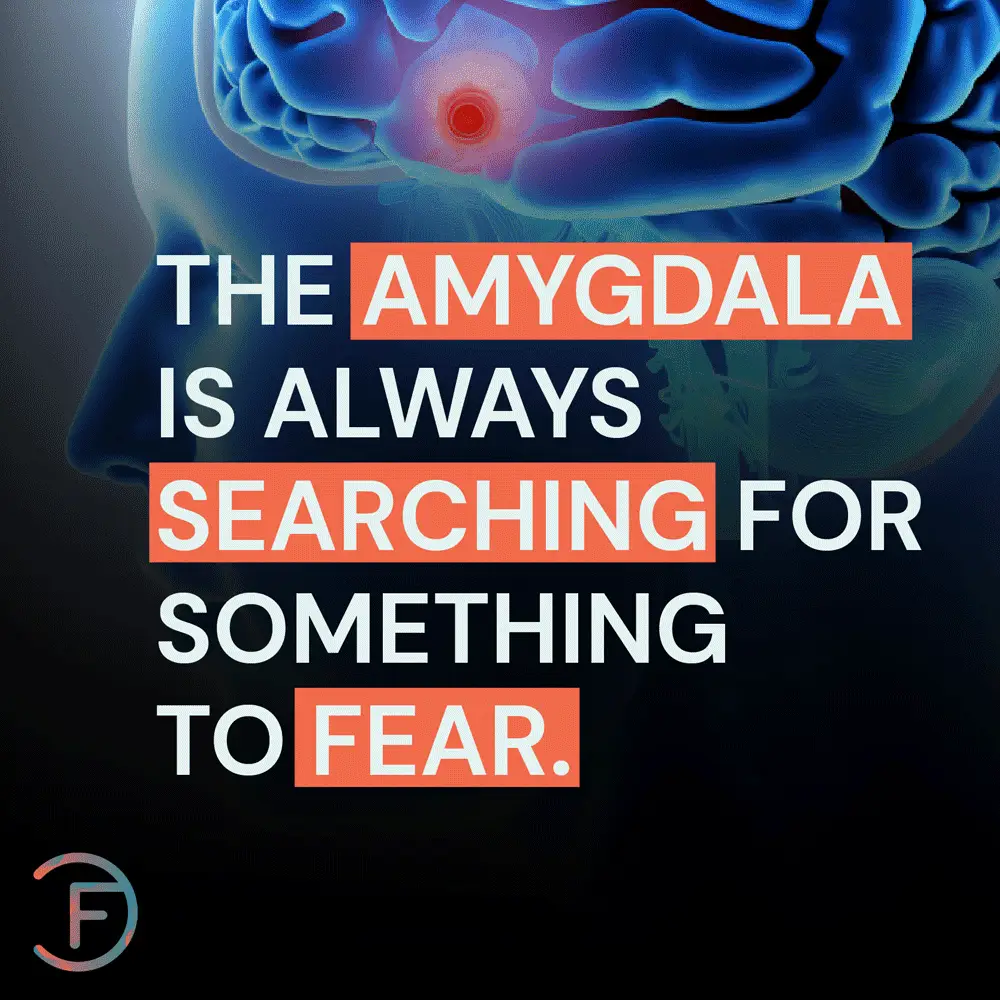 The Amygdala is always Searching for Something to Fear